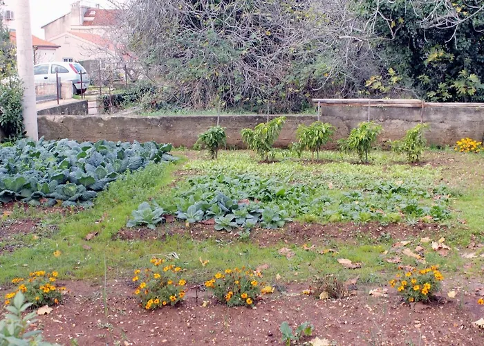 Διαμέρισμα By The Sea - Diklo, - 5926 Ζαντάρ